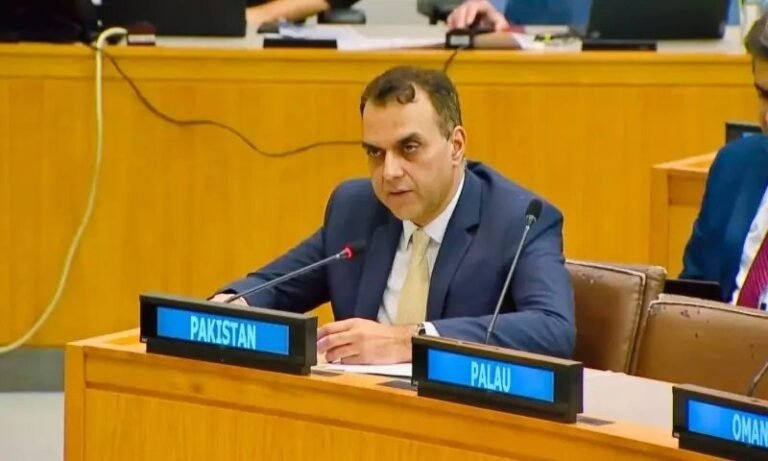 اقوام متحدہ سے کشمیر اور فلسطین کے حق خود ارادیت کا مطالبہ کشمیر فلسطین حق خود ارادیت