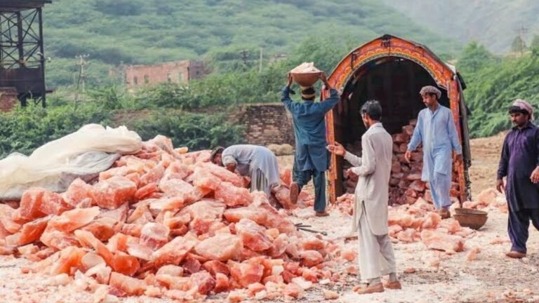 پنجاب: گلابی نمک کے لیے 5 ارب کی بلاسود قرض اسکیم گلابی نمک قرض اسکیم