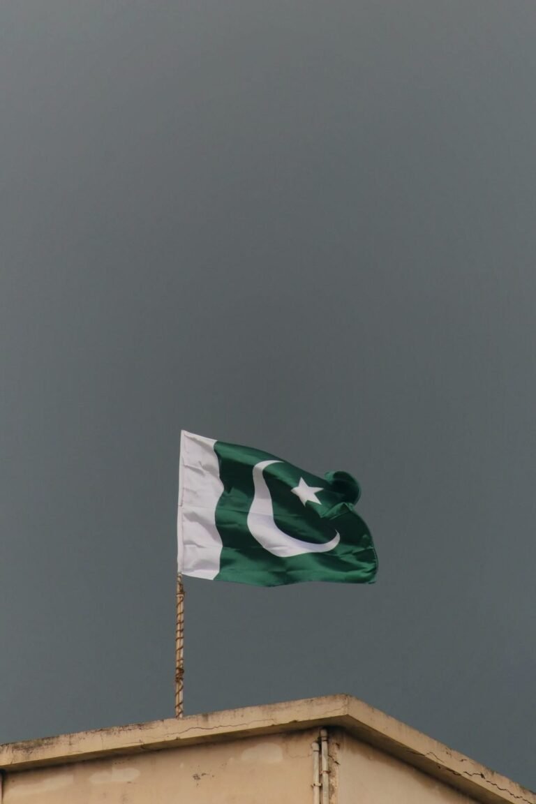 شہباز شریف اتحادیوں سے مشاورت کریں گے گورنر راج