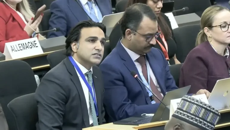 اقوام متحدہ میں پاکستان کی بھارت پر کڑی تنقید اقوام متحدہ کشمیر پاکستان